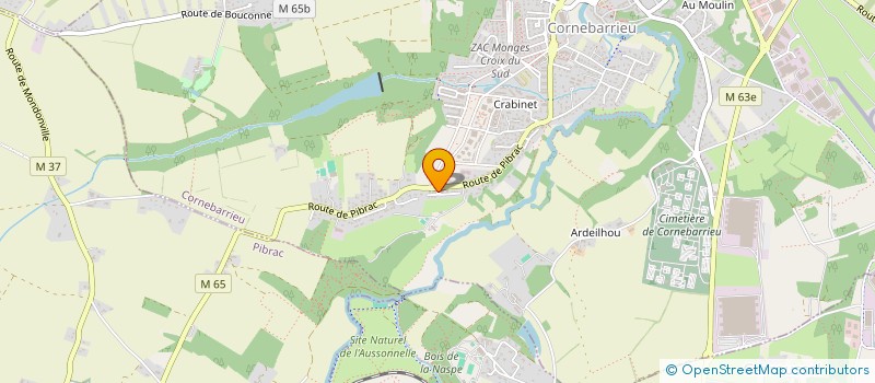 localisation de l'entreprise 938 795 275   CORNEBARRIEU