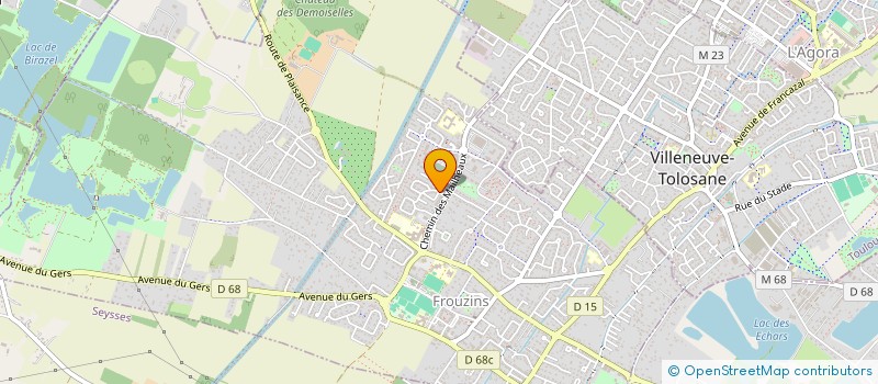 localisation de l'entreprise 939 029 971   FROUZINS