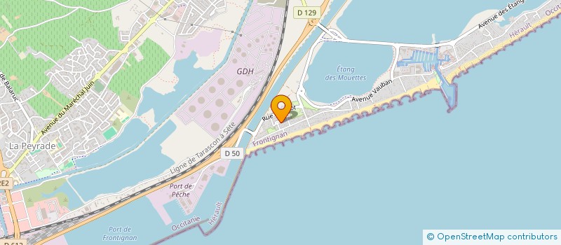 localisation de l'entreprise 939 455 234   VIC-LA-GARDIOLE