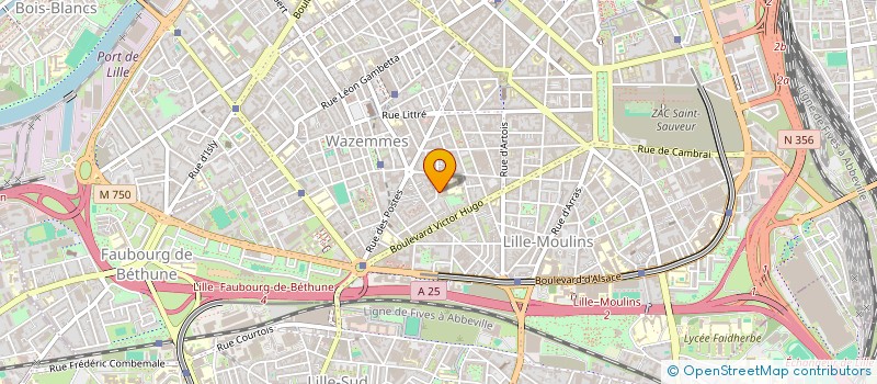 localisation de l'entreprise 942 275 785   TOURCOING