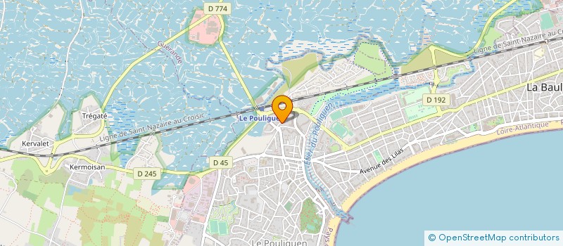 localisation de l'entreprise 948 476 825   LE POULIGUEN