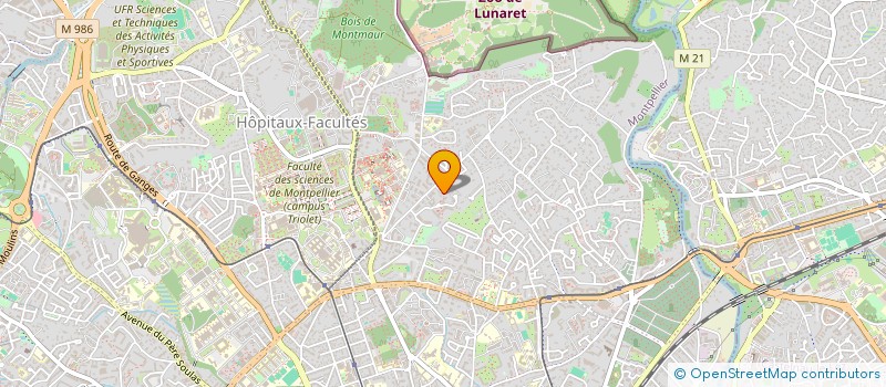 localisation de l'entreprise 948 627 963 à MONTPELLIER