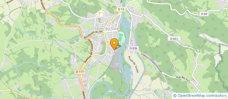 localisation de l'entreprise 949 719 397   SALIES-DU-SALAT