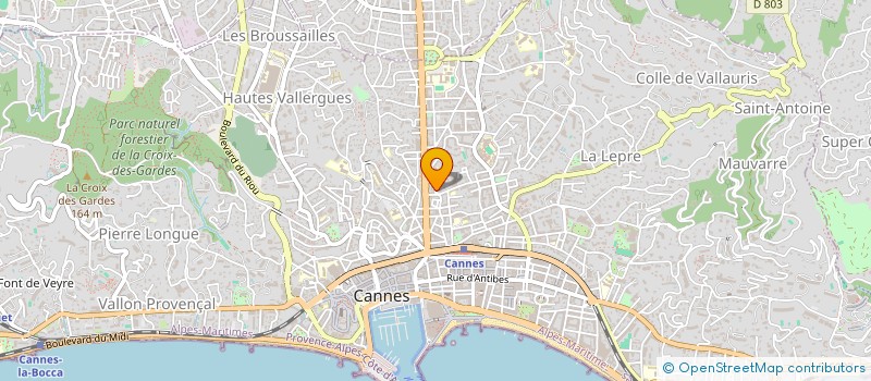 localisation de l'entreprise 950 878 553   CANNES
