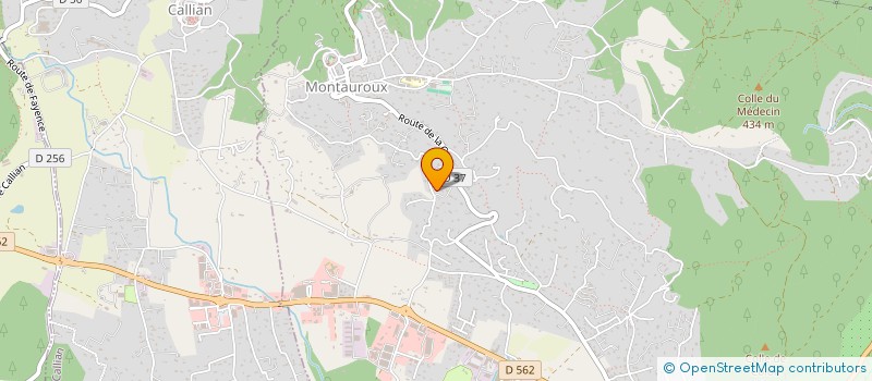 localisation de l'entreprise 950 946 319   MONTAUROUX