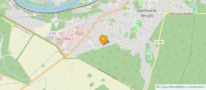 localisation de l'entreprise 951 515 949 à DAMMARIE-LES-LYS