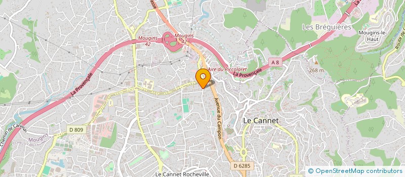 localisation de l'entreprise 951 628 031   CANNES