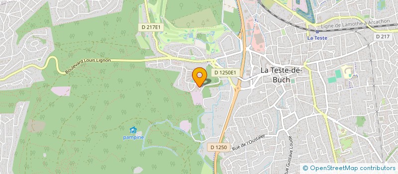 localisation de l'entreprise 951 733 666   LA TESTE-DE-BUCH