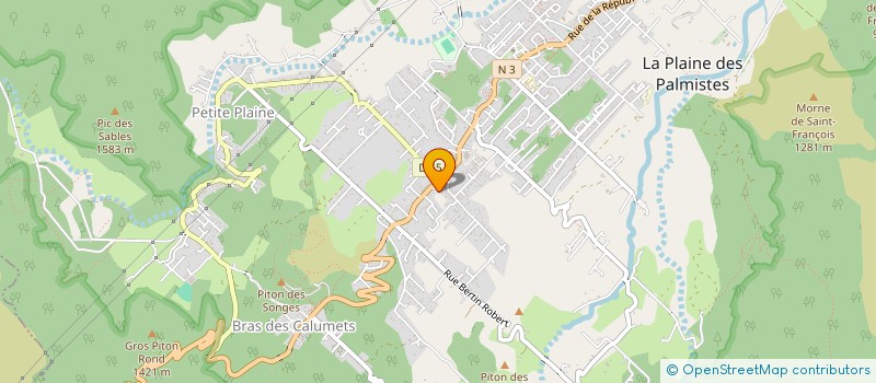 localisation de l'entreprise 953 128 881   LA PLAINE-DES-PALMISTES