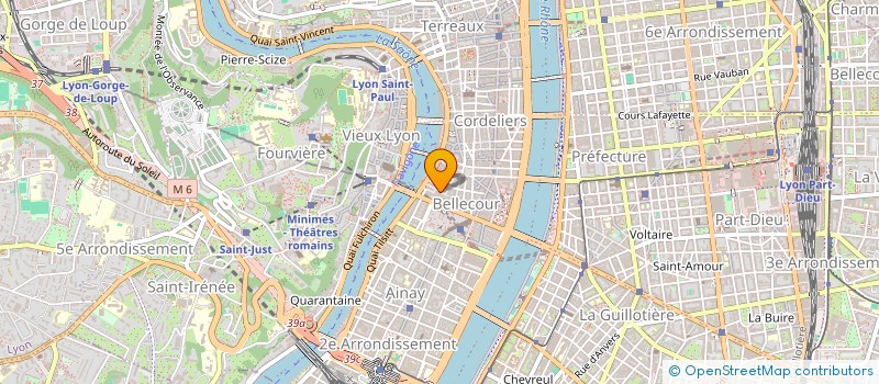localisation de l'entreprise 953 337 615 à LYON