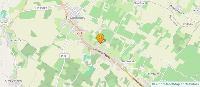 localisation de l'entreprise 953 999 729   BRIZAMBOURG