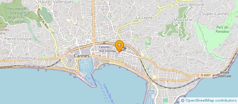 localisation de l'entreprise 96 RUE D'ANTIBES  CANNES