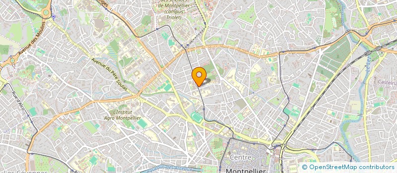localisation de l'entreprise 977 706 704 à MONTPELLIER
