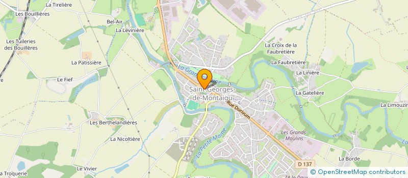localisation de l'entreprise 977 748 524  à MONTAIGU-VENDEE