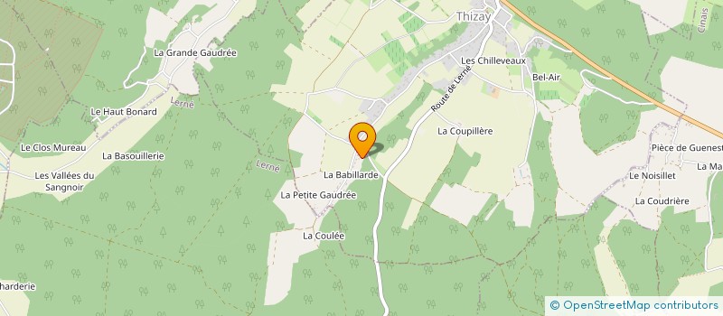 localisation de l'entreprise 977 828 615   THIZAY