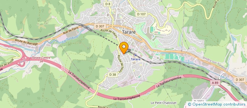 localisation de l'entreprise 978 810 042   TARARE