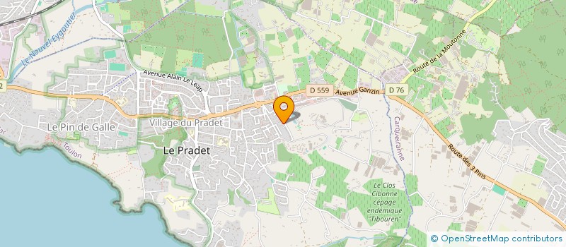 localisation de l'entreprise 978 965 010   LE PRADET