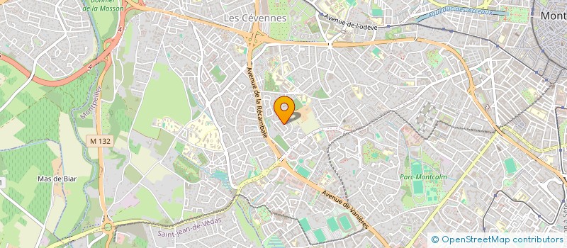 localisation de l'entreprise 979 083 920 à MONTPELLIER