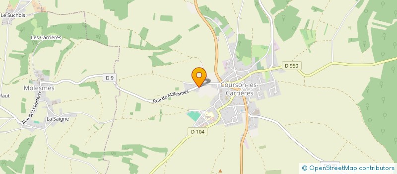 localisation de l'entreprise 979 561 610   COURSON-LES-CARRIERES