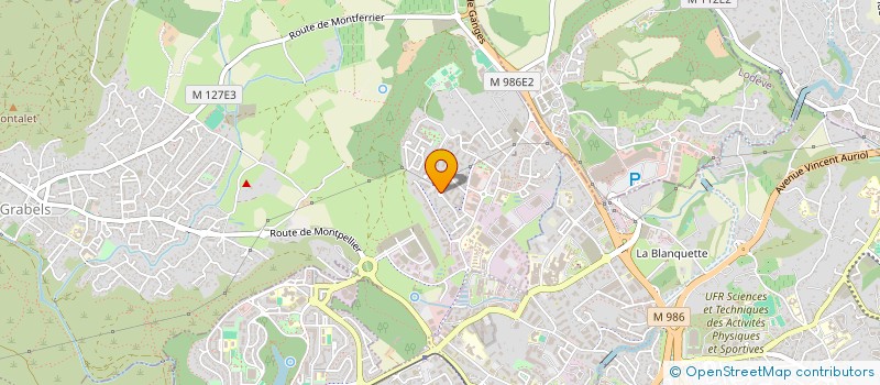 localisation de l'entreprise 979 696 317 à MONTPELLIER