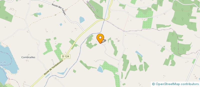 localisation de l'entreprise 979 800 810   MONTASTRUC