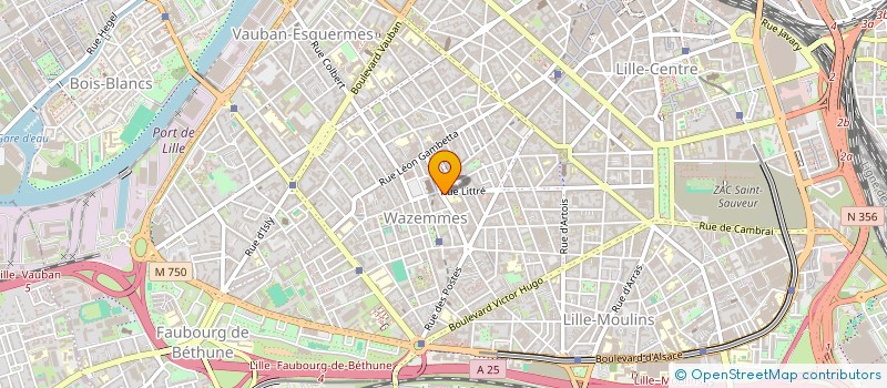 localisation de l'entreprise 98 BIS DU MARCHE à LILLE