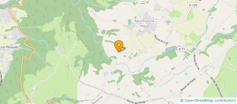 localisation de l'entreprise 980 285 829   MORLHON-LE-HAUT