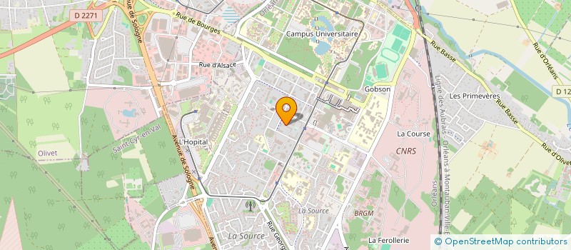 localisation de l'entreprise 980 652 523 à ORLEANS