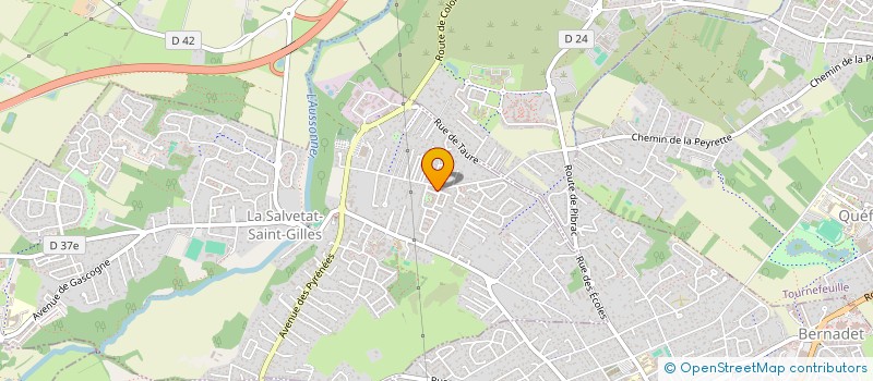 localisation de l'entreprise 981 121 999   FROUZINS