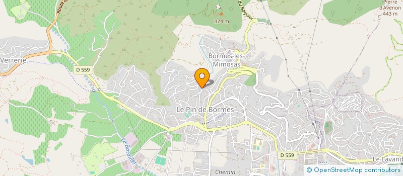 localisation de l'entreprise 981 265 937 à BORMES-LES-MIMOSAS