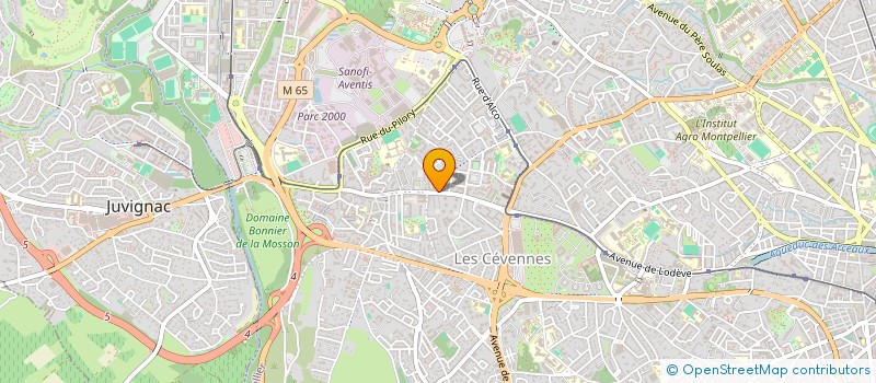 localisation de l'entreprise 981 753 999 à MONTPELLIER
