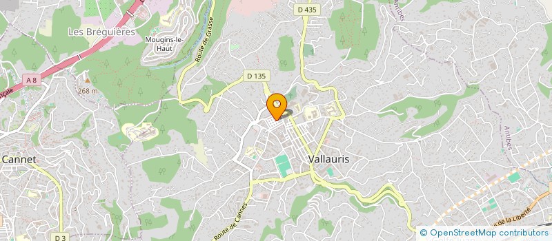 localisation de l'entreprise 983 043 365   VALLAURIS