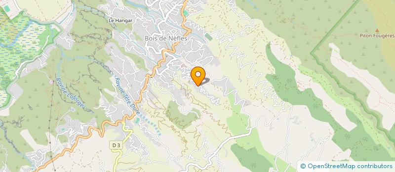 localisation de l'entreprise 983 135 799   LE TAMPON