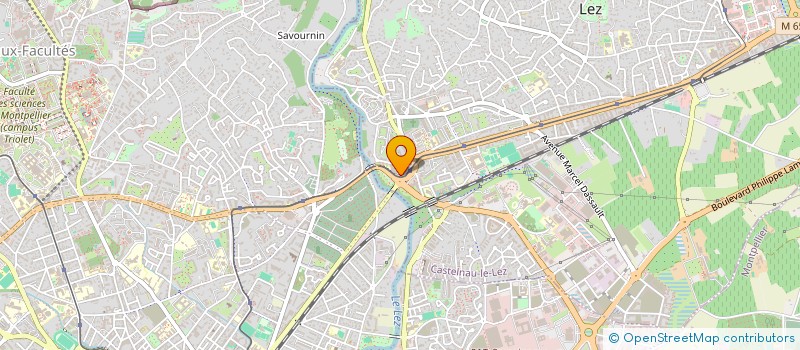 localisation de l'entreprise 983 516 634   CASTELNAU-LE-LEZ