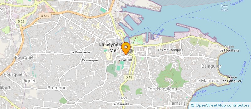 localisation de l'entreprise 983 549 650 à LA SEYNE-SUR-MER