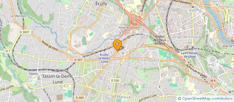 localisation de l'entreprise 984 499 699 à LYON