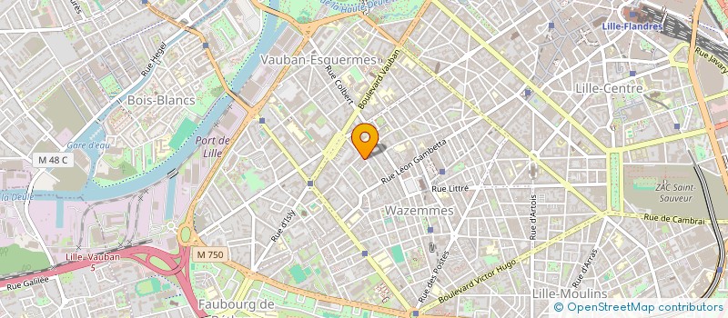 localisation de l'entreprise 984 895 920 à LILLE