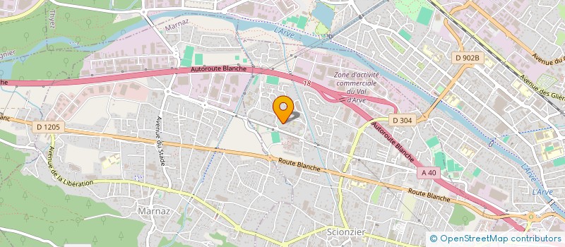 localisation de l'entreprise 984 944 009   SCIONZIER