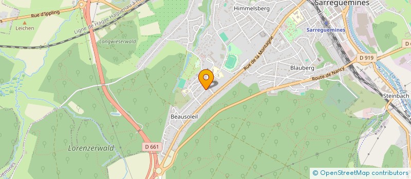 localisation de l'entreprise 989 547 815   SARREGUEMINES