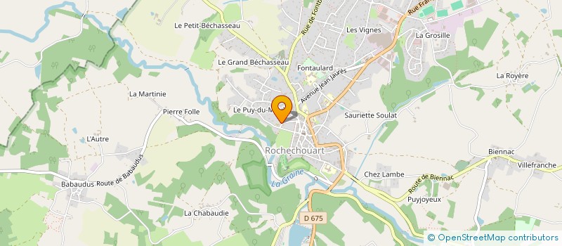 localisation de l'entreprise 989 701 198   ROCHECHOUART