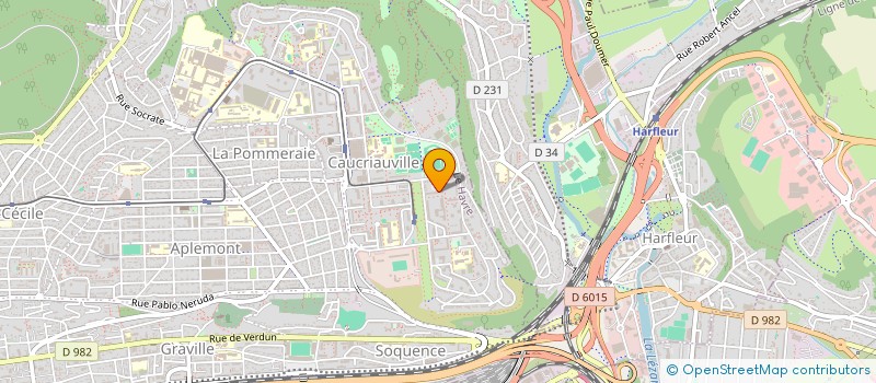 localisation de l'entreprise 989 981 204   LE HAVRE