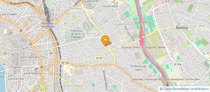 localisation de l'entreprise 99 FLEURS à TOULOUSE