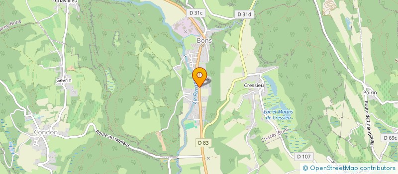 localisation de l'entreprise 990 278 921   CHAZEY-BONS