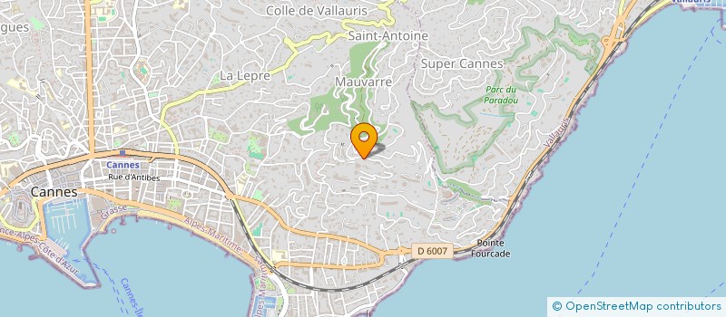 localisation de l'entreprise 991 415 241   CANNES