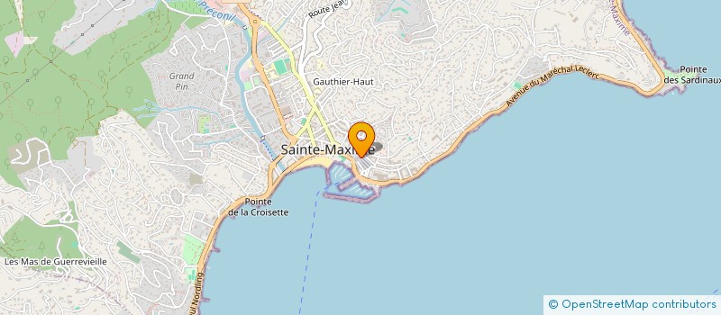 localisation de l'entreprise 9COUR à SAINTE-MAXIME