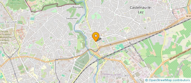 localisation de l'entreprise A.A.A. CENTRAL SECURIT à CASTELNAU-LE-LEZ