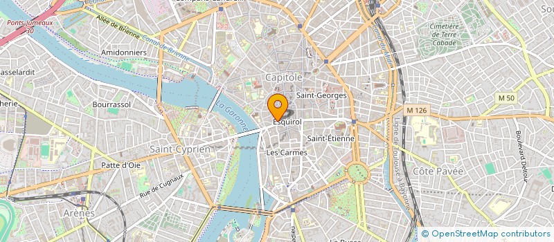 localisation de l'entreprise A FLEUR DE ROCK à TOULOUSE