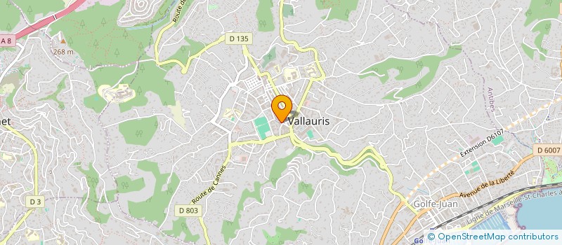localisation de l'entreprise A G I T à VALLAURIS