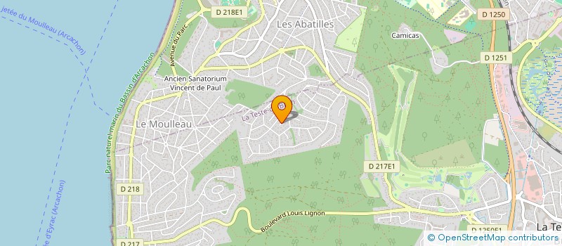 localisation de l'entreprise A LA SURFACE  LA TESTE-DE-BUCH