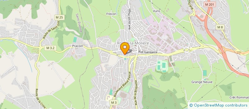 localisation de l'entreprise A.M.S. à ROCHE-LA-MOLIERE